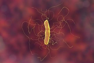 Reducing C difficile Incidence Rates