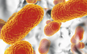 Dawn of a New Age: Novel Agents for the Treatment of Carbapenem-Resistant A baumannii