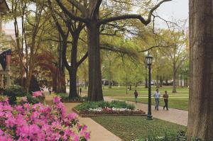 A Look Into the Antimicrobial Stewardship Collaborative of South Carolina
