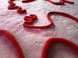 Superspreaders: The Fuel Behind the Ebola Epidemic
