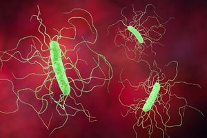 LMN-201 Reduces C difficile Recurrence 