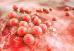 The Underlying Threat of Multidrug-Resistant Pathogens in the COVID-19 Era