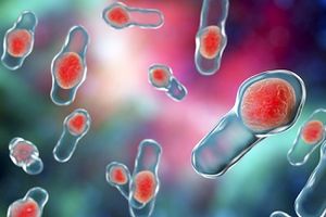 Fidaxomicin Vs. Vancomycin: What's More Effective for Treating C difficile?