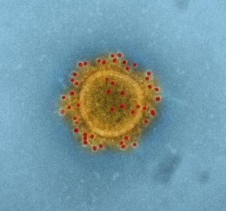 Where Should We Target Limited Coronavirus Testing Resources?