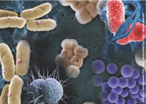 The Multi-Drug Resistant Organism Network