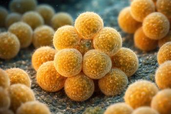 IDSA/ESCMID Statement on Staphylococcus aureus: Follow-Up Blood Cultures 