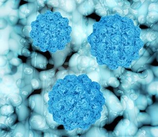 Investigators Discover Antibody Capable of Inhibiting Multiple Strains of Norovirus