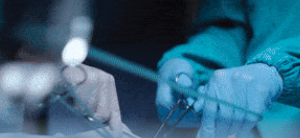 Invasive Fungal Disease in Transplantation: Prevention in a Shifting Landscape