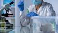 “Kick and Kill” Strategy Eliminates HIV Cells in 40% of Mice