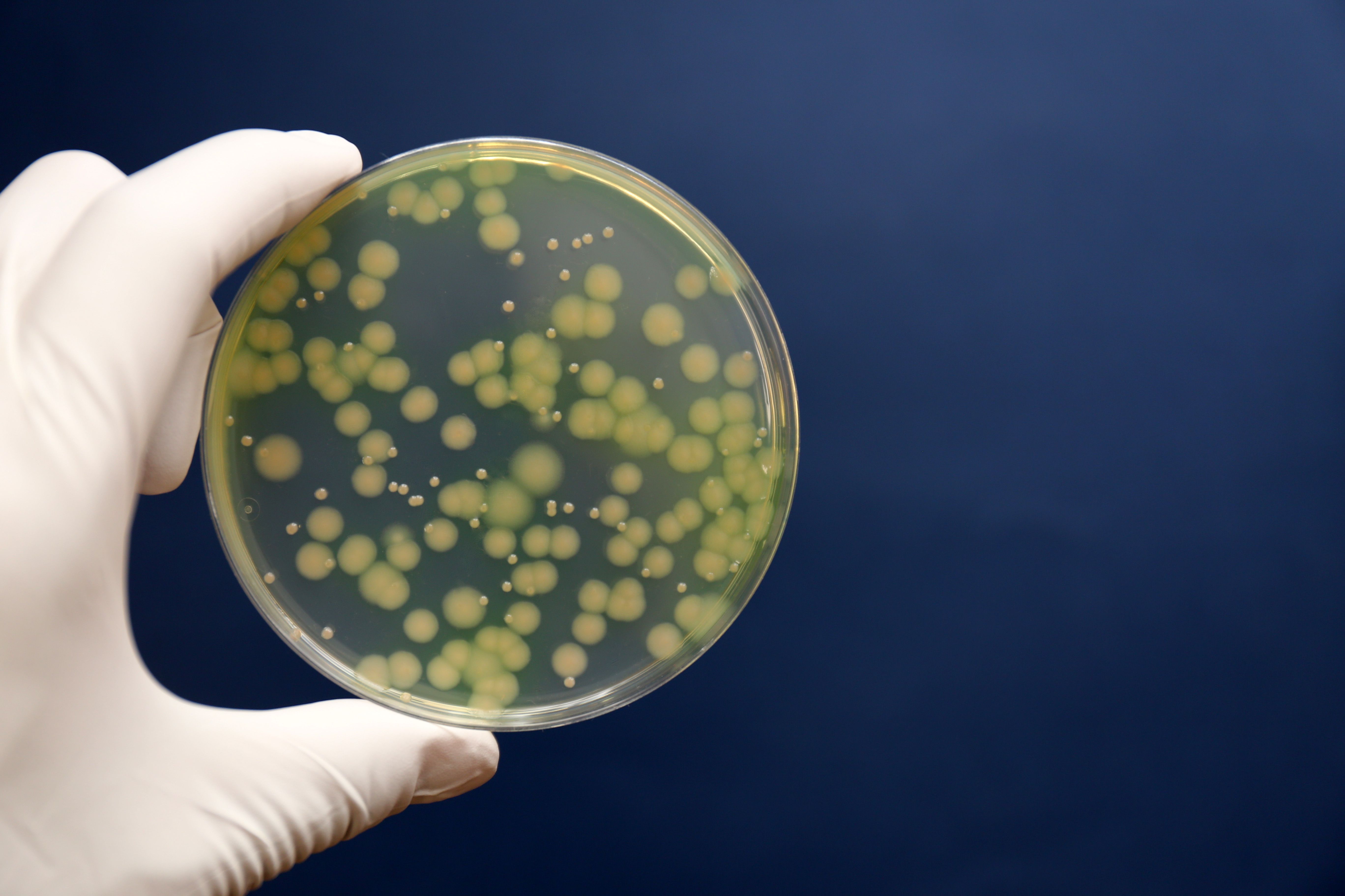 Using real-time genetic surveillance, investigators found bacterial infections rapidly develop antimicrobial resistance (AMR) to antibiotics, only to have these gene mutations disappear within a few days of switching to a different treatment.