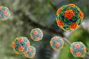 Hepatitis A Outbreak in Hawaii Encourages Vaccinations of Travelers and Locals