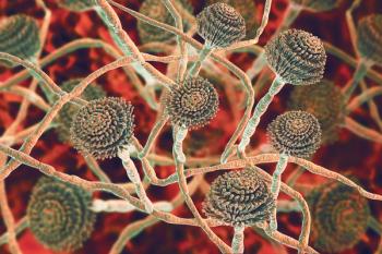 illustration of aspergillus