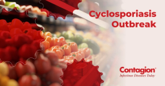 Cyclosporiasis: When to Seek Medical Care, Duration of Illness, and Preventive Measures