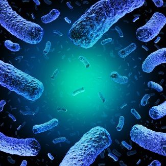 Novel Bacteriocin a Promising New Treatment for Resistant Listeria monocytogenes