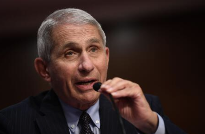 Fauci Testifies On Unifying Coronavirus Response At Hearing