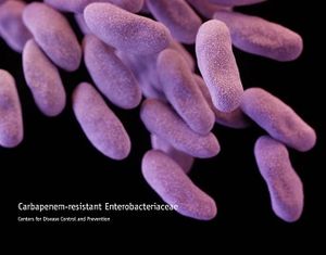 Clinicians Only Using New Antibiotics in Quarter of CRE Infection Cases, New Study Finds