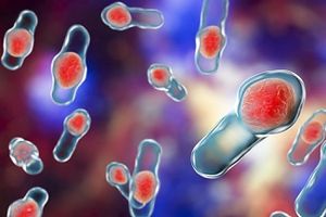 Genome Sequencing Identifies Patterns in C diff Transmission and Infection