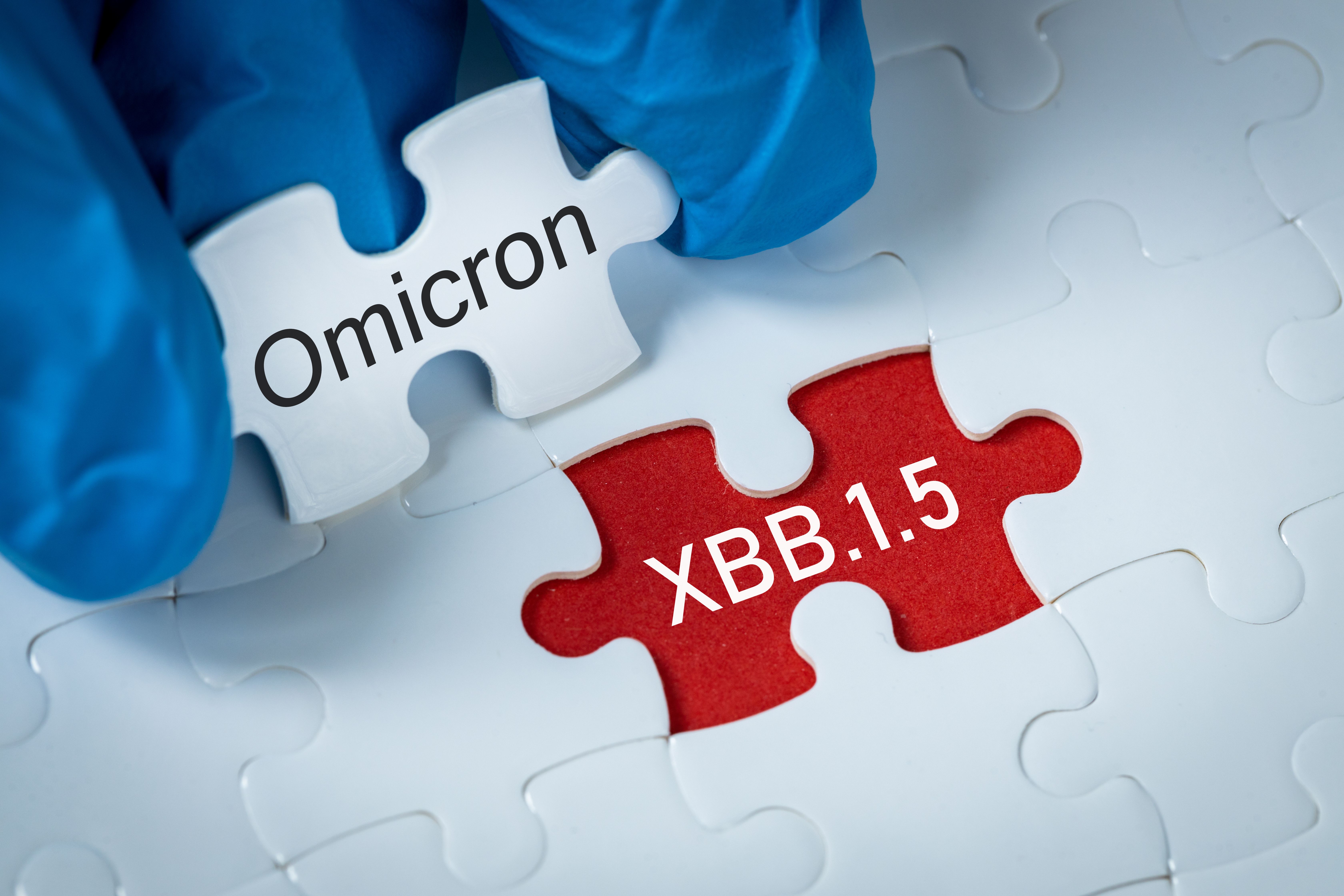 These investigators concluded Omicron XBB.1.5 the most successful COVID-19 variant of its lineage. 
