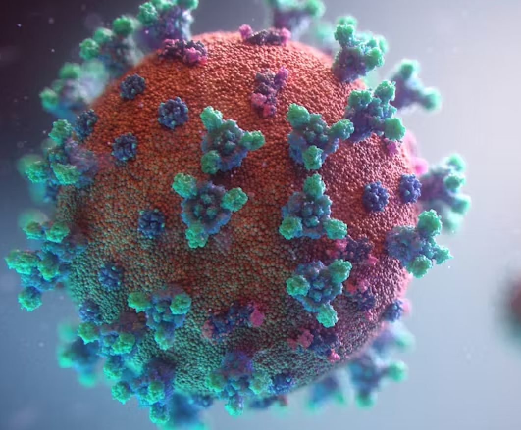 How COVID-19 Affects Cognitive Health Beyond Infection