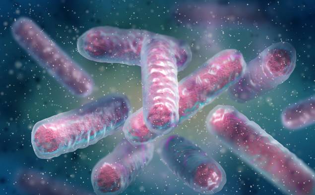 microscopic illustration of Enterobacterales