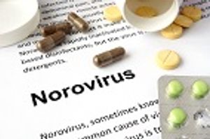 Source of Norovirus Outbreak in Florida School Still Unknown