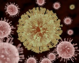 Phylogenetically Mapping the Evolution of the Zika Virus as It Spread Across the World