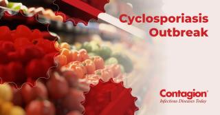 The Latest on the Cyclosporiasis Outbreak: An FDA False Positive Test, and What Treatment Looks Like