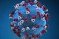 Bivalent SARS-CoV-2 Vaccine Might Offer Better Omicron Protection
