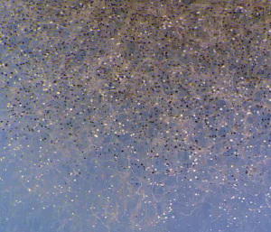 Defining the Characteristics of Breakthrough Invasive Fungal Infections in Hematologic Disorders