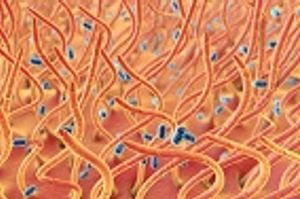 How Advanced Practice Nurses Can Help Combat Pertussis