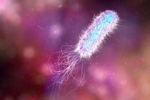 What’s New in 2022 From the CLSI Subcommittee on Antimicrobial Susceptibility Testing