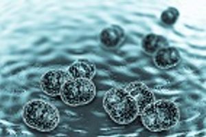 Meningococcal Disease Returns to Oregon State University