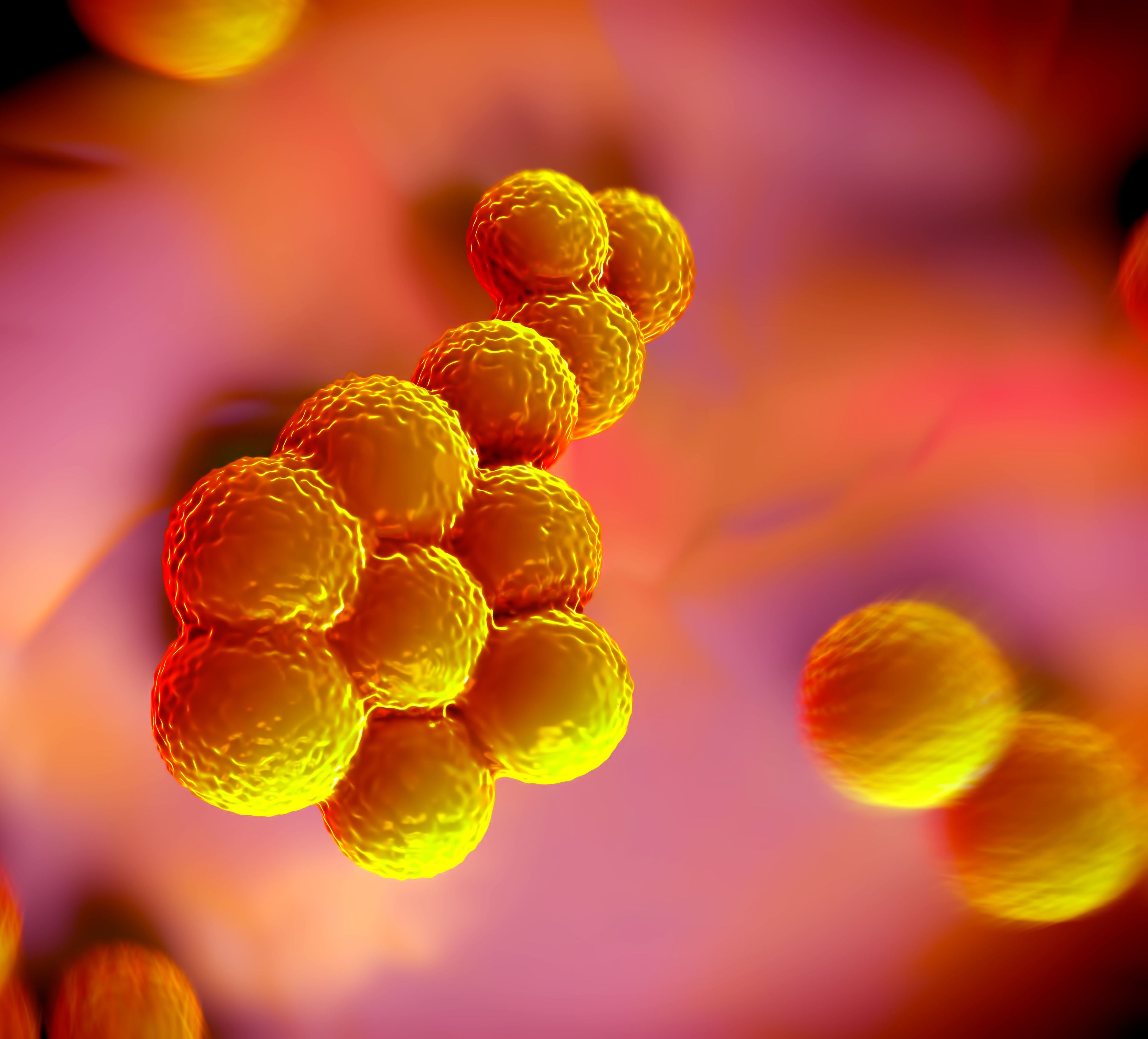 Staph Vaccine Ineffective In Previously Exposed Individuals staph-vaccine-ineffective-in-previously-exposed-individuals