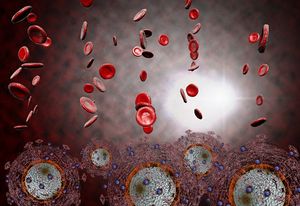 HIV Prevention and Treatment Efforts Go High-Tech in New York