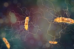 Can Fidaxomicin Provide Effective C difficile-Associated Diarrhea Prophylaxis for HSCT Recipients?