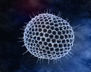 Michigan Varicella Outbreak Associated with Riding a School Bus