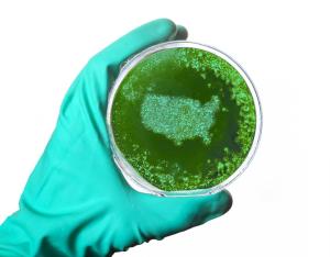 What Is Included in Trump's Plan to Reopen America?