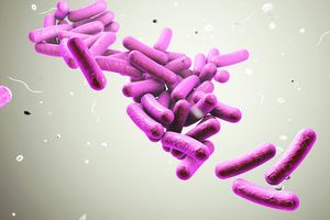 C Difficile Infection Is Associated With Higher Mortality Rates in Patients With Cirrhosis