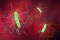 C difficile Awareness Month: Breakthroughs and Setbacks