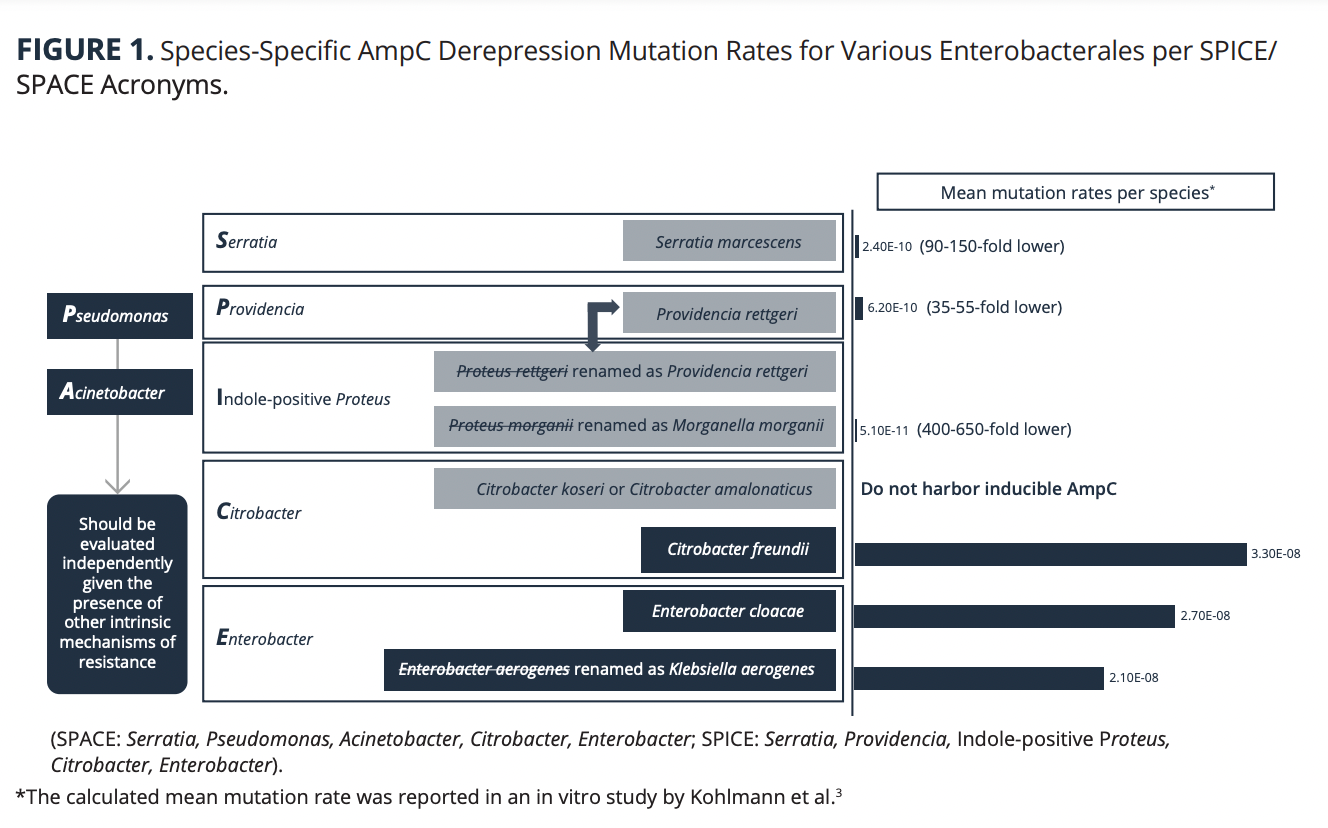 . Species-Specific AmpC Derepression Mutation Rates for Various Enterobacterales per SPICE/ SPACE Acronyms.
