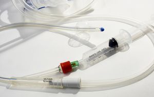 Early Antibiotic Therapy Does Not Improve Mortality in Patients with CAUTI