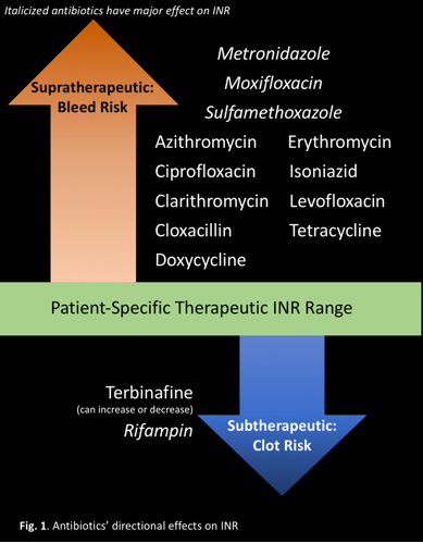 Erythromycin Warfarin 3mg