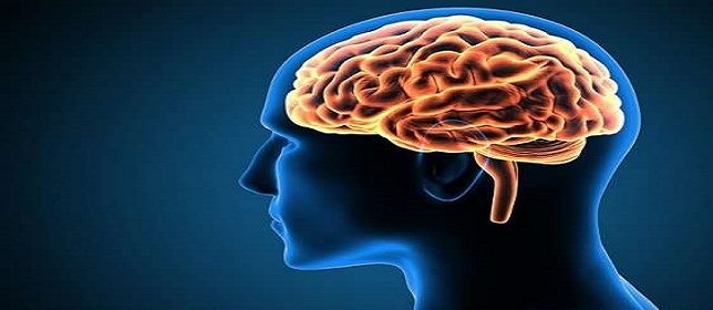 Second Type of Neuroanatomical Schizophrenia Discovered