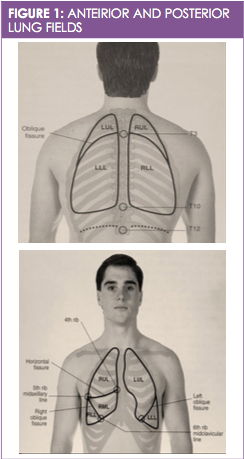 Pulmonary Auscultation