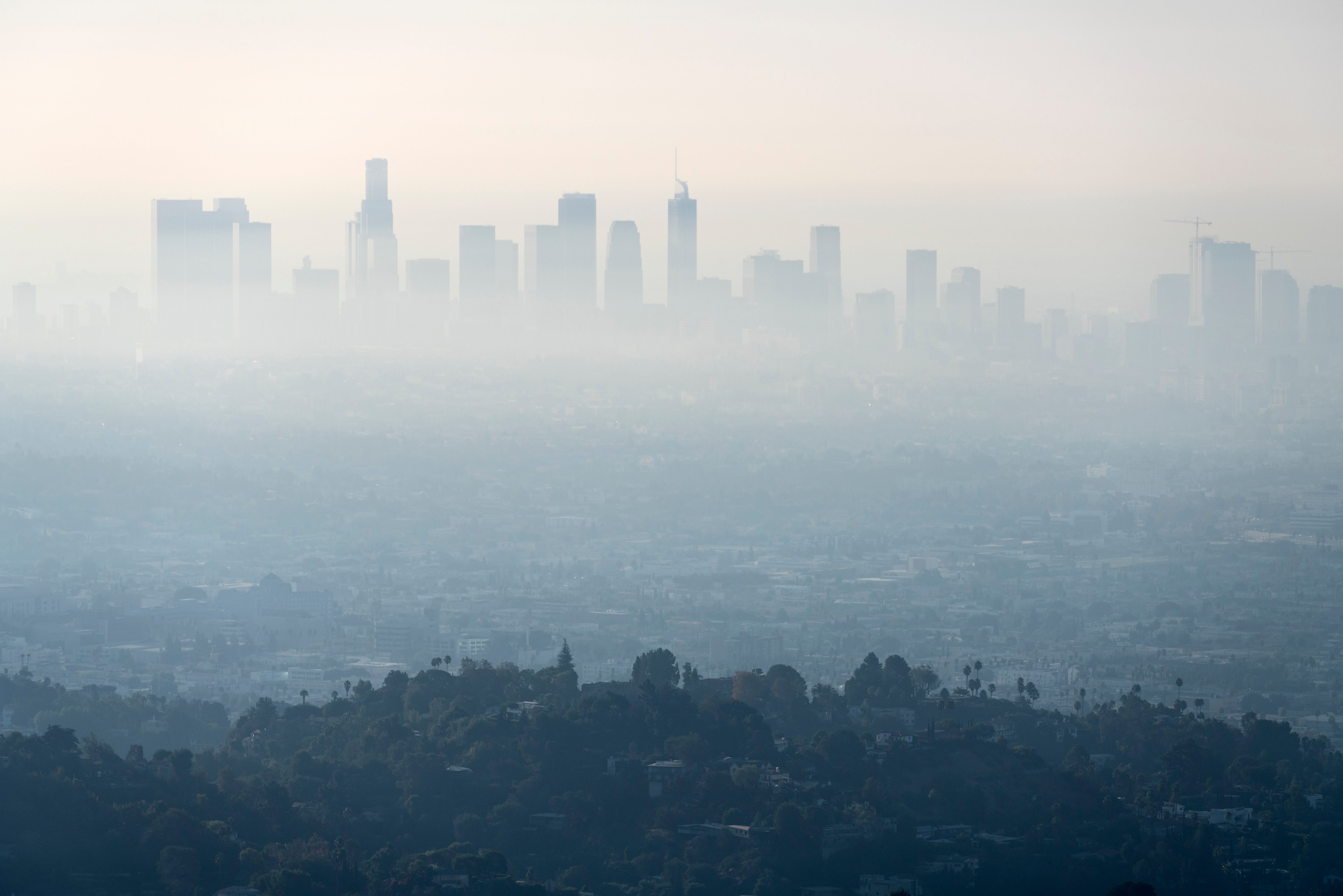 Air pollution drives greater bone loss in postmenopausal women living in lower-income neighborhoods