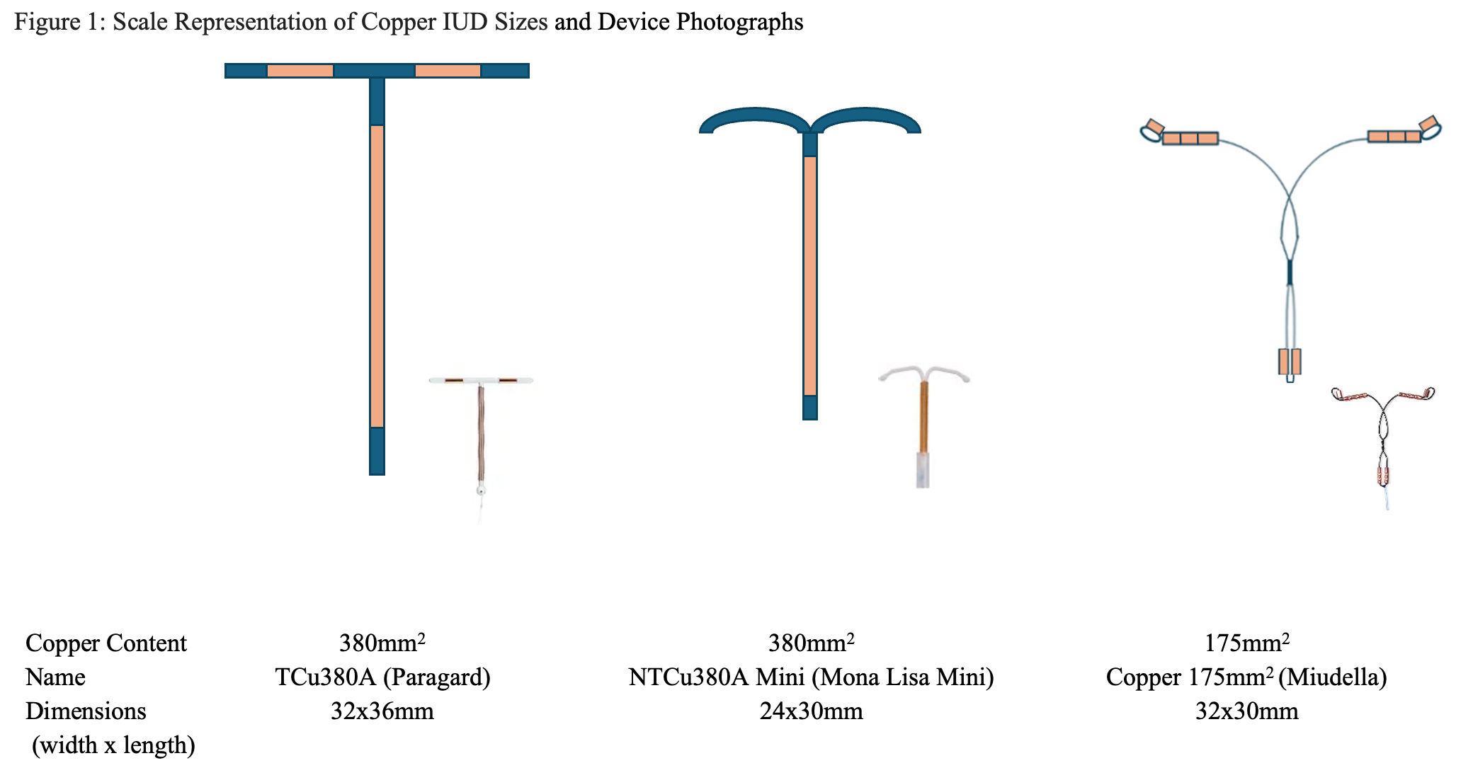 glp 1 and iud Contraception year in review 2025