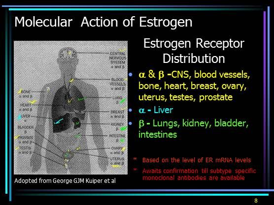 Serms Patho Selective Estrogen Receptor Modulators (SERMS)