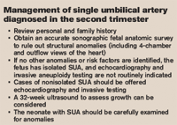 Mfm Consult Single Umbilical Artery What You Need To Know