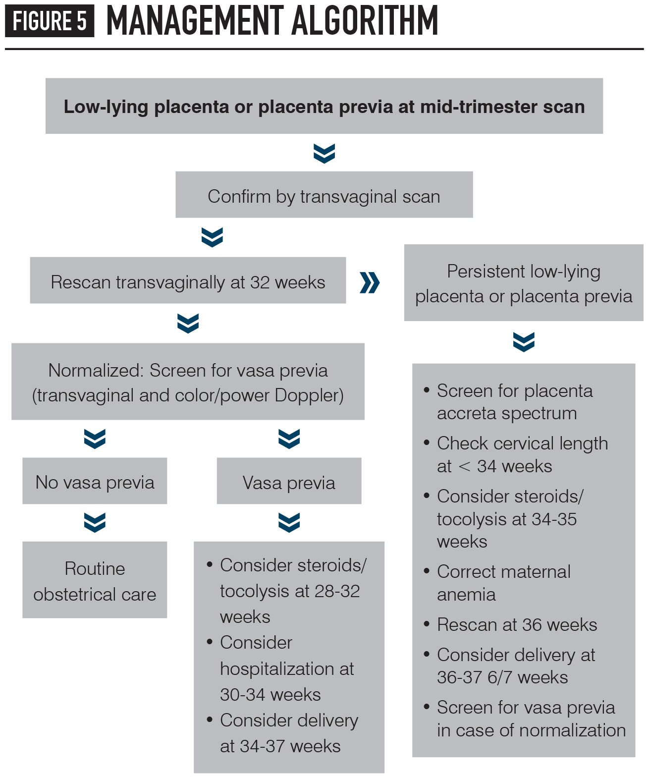 air travel low lying placenta