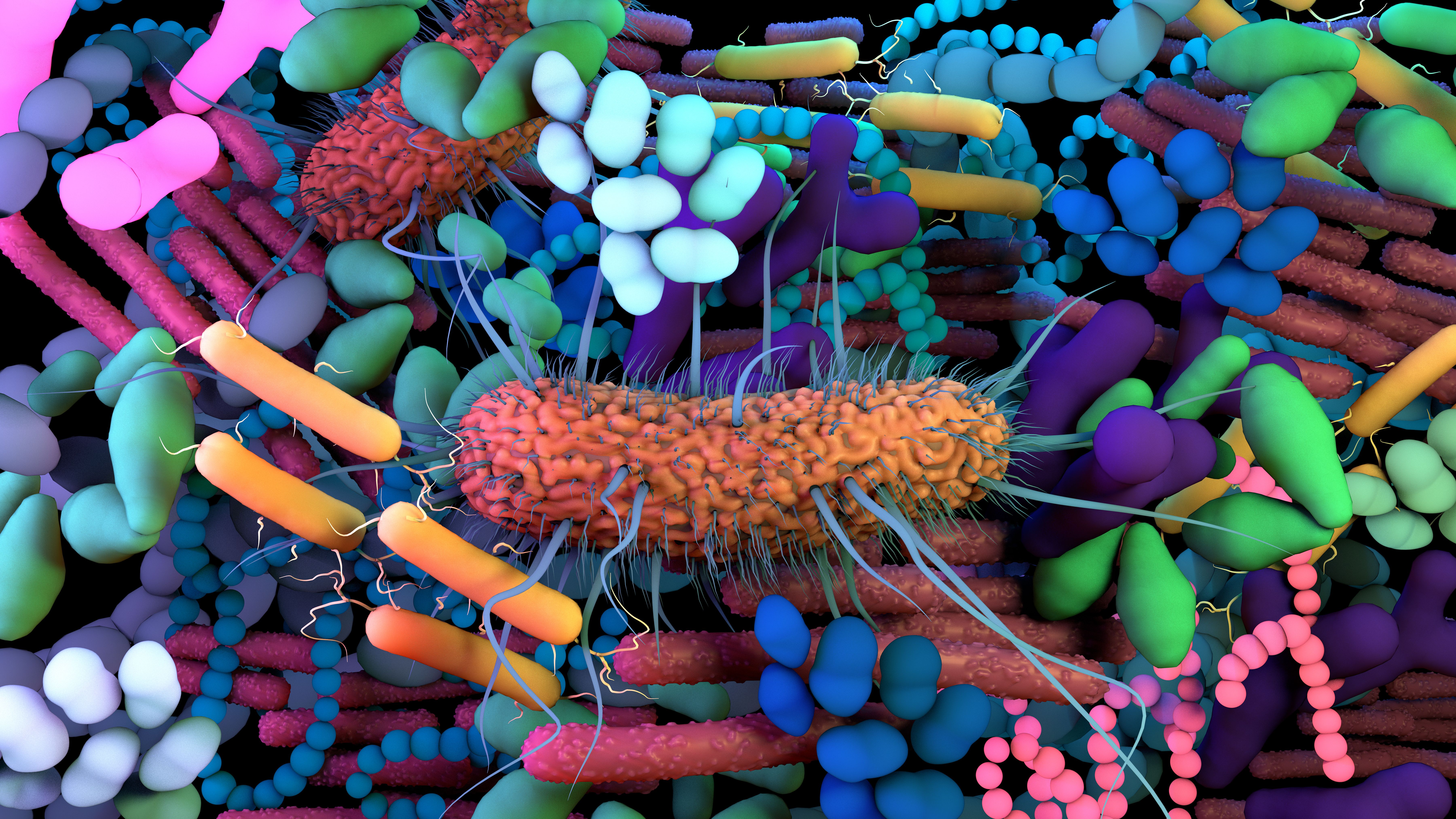 gut microbiome